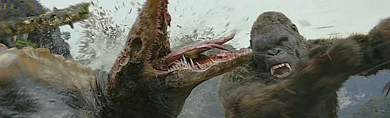 kong t